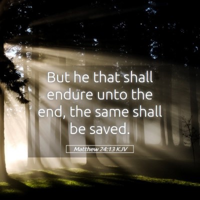 Picture 05 - Matthew 24:13 KJV - But he that shall endure unto the end, the same - Bible Verse Picture