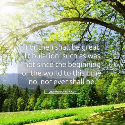 Picture 05 - Matthew 24:21 KJV - For then shall be great tribulation, such as was - Bible Verse Picture