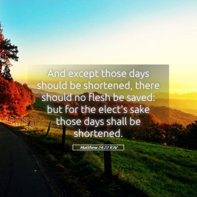 Picture 05 - Matthew 24:22 KJV - And except those days should be shortened, there - Bible Verse Picture