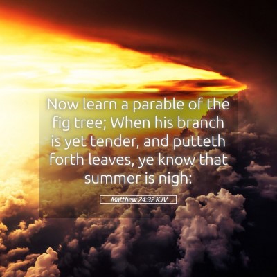 Picture 05 - Matthew 24:32 KJV - Now learn a parable of the fig tree; When his - Bible Verse Picture