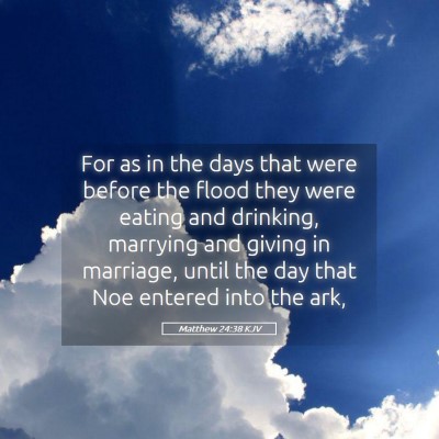Picture 05 - Matthew 24:38 KJV - For as in the days that were before the flood - Bible Verse Picture