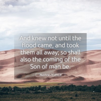 Picture 05 - Matthew 24:39 KJV - And knew not until the flood came, and took them - Bible Verse Picture