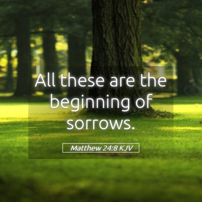 Picture 05 - Matthew 24:8 KJV - All these are the beginning of - Bible Verse Picture