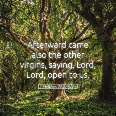 Picture 05 - Matthew 25:11 KJV - Afterward came also the other virgins, saying, - Bible Verse Picture