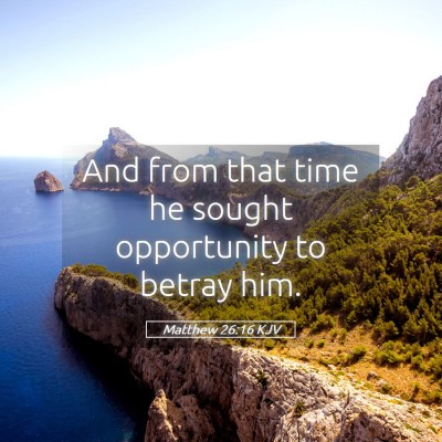 Picture 05 - Matthew 26:16 KJV - And from that time he sought opportunity to - Bible Verse Picture