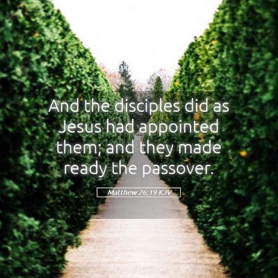 Picture 05 - Matthew 26:19 KJV - And the disciples did as Jesus had appointed - Bible Verse Picture