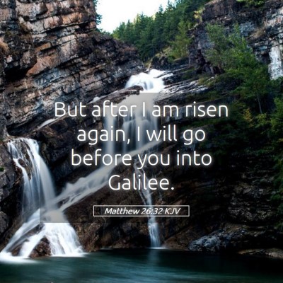 Picture 05 - Matthew 26:32 KJV - But after I am risen again, I will go before you - Bible Verse Picture