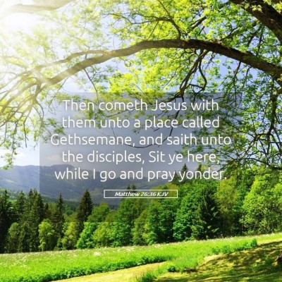 Picture 05 - Matthew 26:36 KJV - Then cometh Jesus with them unto a place called - Bible Verse Picture
