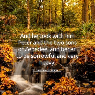 Picture 05 - Matthew 26:37 KJV - And he took with him Peter and the two sons of - Bible Verse Picture