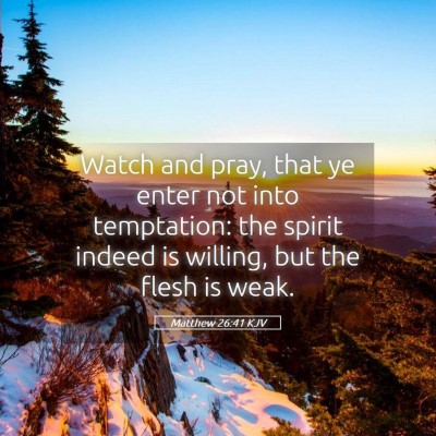 Picture 05 - Matthew 26:41 KJV - Watch and pray, that ye enter not into - Bible Verse Picture