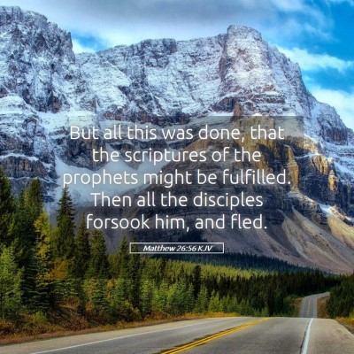 Picture 05 - Matthew 26:56 KJV - But all this was done, that the scriptures of the - Bible Verse Picture