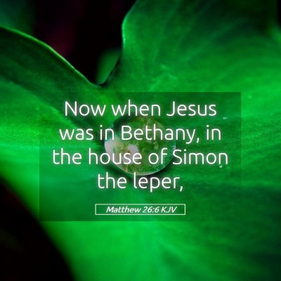 Picture 05 - Matthew 26:6 KJV - Now when Jesus was in Bethany, in the house of - Bible Verse Picture