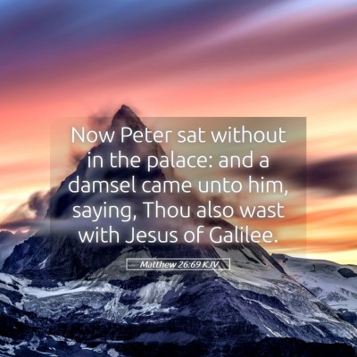 Picture 05 - Matthew 26:69 KJV - Now Peter sat without in the palace: and a damsel - Bible Verse Picture