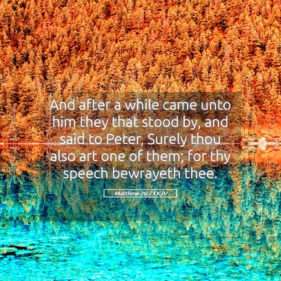 Picture 05 - Matthew 26:73 KJV - And after a while came unto him they that stood - Bible Verse Picture