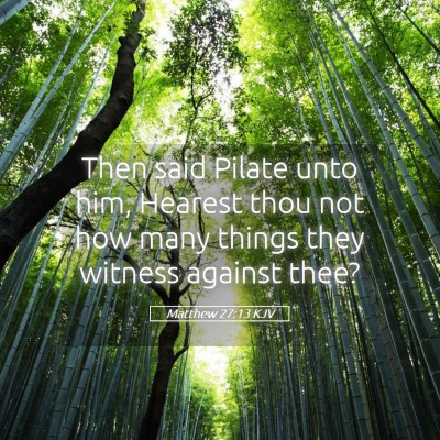 Picture 05 - Matthew 27:13 KJV - Then said Pilate unto him, Hearest thou not how - Bible Verse Picture