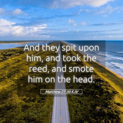 Picture 05 - Matthew 27:30 KJV - And they spit upon him, and took the reed, and - Bible Verse Picture