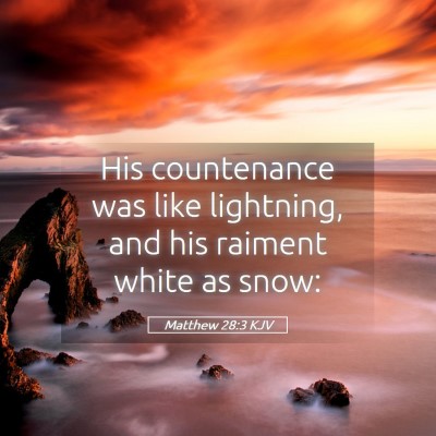 Picture 05 - Matthew 28:3 KJV - His countenance was like lightning, and his - Bible Verse Picture