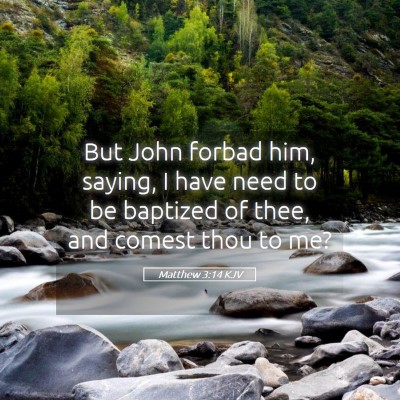 Picture 05 - Matthew 3:14 KJV - But John forbad him, saying, I have need to be - Bible Verse Picture