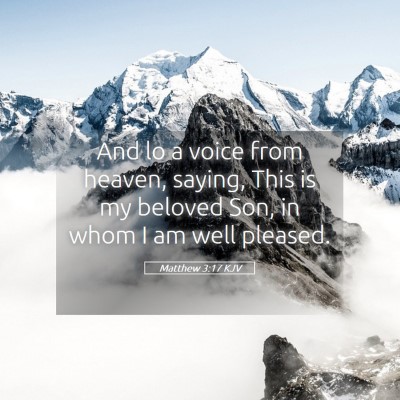 Picture 05 - Matthew 3:17 KJV - And lo a voice from heaven, saying, This is my - Bible Verse Picture