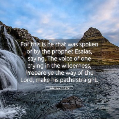 Picture 05 - Matthew 3:3 KJV - For this is he that was spoken of by the prophet - Bible Verse Picture