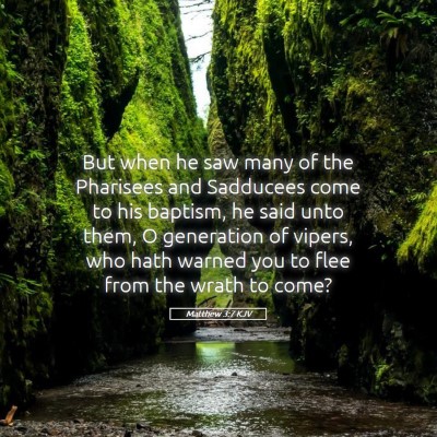 Picture 05 - Matthew 3:7 KJV - But when he saw many of the Pharisees and - Bible Verse Picture