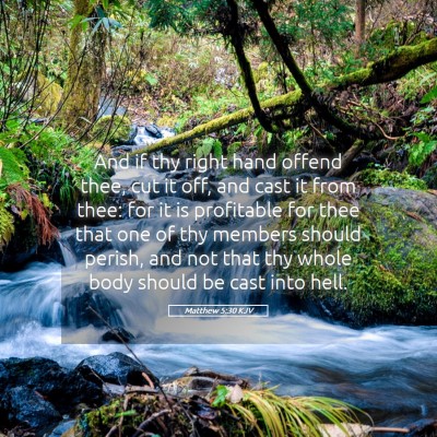 Picture 05 - Matthew 5:30 KJV - And if thy right hand offend thee, cut it off, - Bible Verse Picture