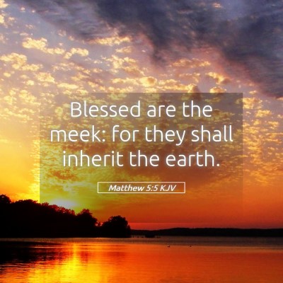Picture 05 - Matthew 5:5 KJV - Blessed are the meek: for they shall inherit the - Bible Verse Picture
