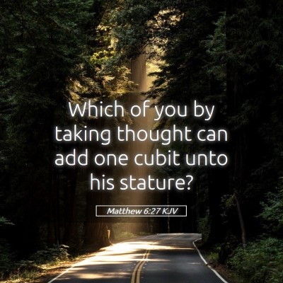 Picture 05 - Matthew 6:27 KJV - Which of you by taking thought can add one cubit - Bible Verse Picture