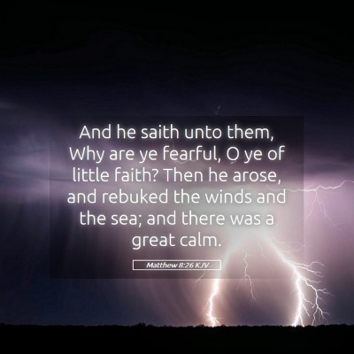 Picture 05 - Matthew 8:26 KJV - And he saith unto them, Why are ye fearful, O ye - Bible Verse Picture