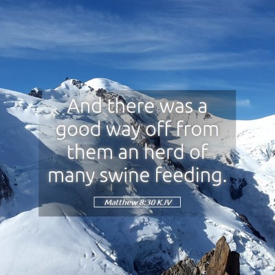 Picture 05 - Matthew 8:30 KJV - And there was a good way off from them an herd of - Bible Verse Picture