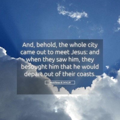 Picture 05 - Matthew 8:34 KJV - And, behold, the whole city came out to meet - Bible Verse Picture