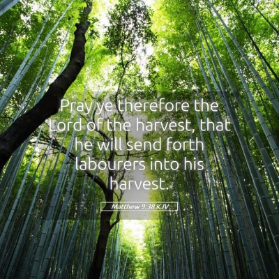 Picture 05 - Matthew 9:38 KJV - Pray ye therefore the Lord of the harvest, that - Bible Verse Picture