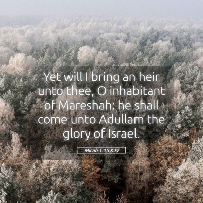 Picture 05 - Micah 1:15 KJV - Yet will I bring an heir unto thee, O inhabitant - Bible Verse Picture