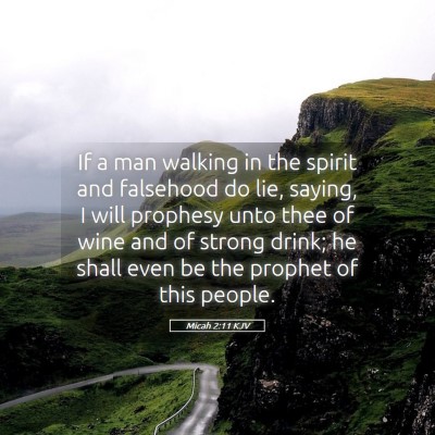 Picture 05 - Micah 2:11 KJV - If a man walking in the spirit and falsehood do - Bible Verse Picture