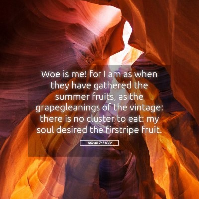 Picture 05 - Micah 7:1 KJV - Woe is me! for I am as when they have gathered - Bible Verse Picture