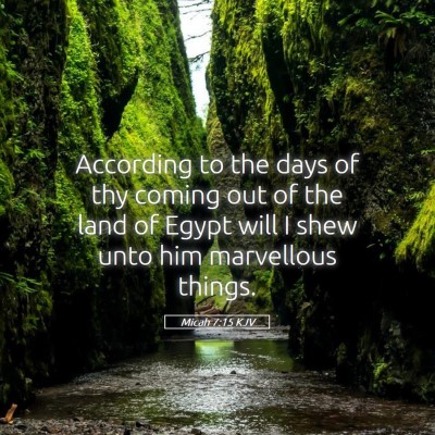 Picture 05 - Micah 7:15 KJV - According to the days of thy coming out of the - Bible Verse Picture