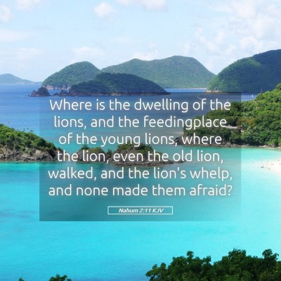 Picture 05 - Nahum 2:11 KJV - Where is the dwelling of the lions, and the - Bible Verse Picture