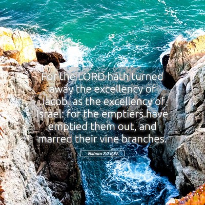 Picture 05 - Nahum 2:2 KJV - For the LORD hath turned away the excellency of - Bible Verse Picture