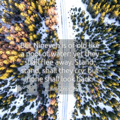Picture 05 - Nahum 2:8 KJV - But Nineveh is of old like a pool of water: yet - Bible Verse Picture