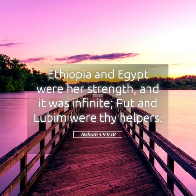 Picture 05 - Nahum 3:9 KJV - Ethiopia and Egypt were her strength, and it was - Bible Verse Picture