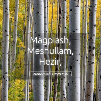 Picture 05 - Nehemiah 10:20 KJV - Magpiash, Meshullam, - Bible Verse Picture