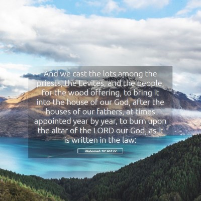 Picture 05 - Nehemiah 10:34 KJV - And we cast the lots among the priests, the - Bible Verse Picture