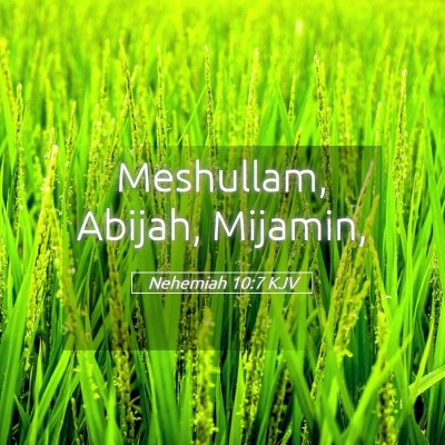 Picture 05 - Nehemiah 10:7 KJV - Meshullam, Abijah, - Bible Verse Picture