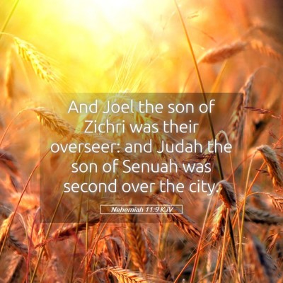 Picture 05 - Nehemiah 11:9 KJV - And Joel the son of Zichri was their overseer: - Bible Verse Picture