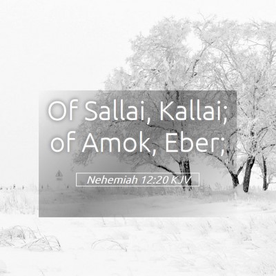 Picture 05 - Nehemiah 12:20 KJV - Of Sallai, Kallai; of Amok, - Bible Verse Picture