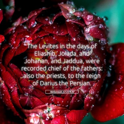 Picture 05 - Nehemiah 12:22 KJV - The Levites in the days of Eliashib, Joiada, and - Bible Verse Picture