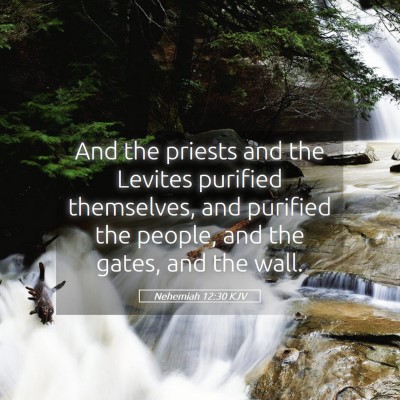 Picture 05 - Nehemiah 12:30 KJV - And the priests and the Levites purified - Bible Verse Picture