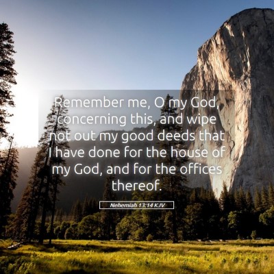 Picture 05 - Nehemiah 13:14 KJV - Remember me, O my God, concerning this, and wipe - Bible Verse Picture