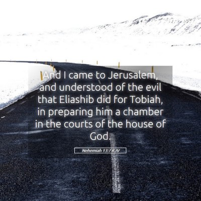 Picture 05 - Nehemiah 13:7 KJV - And I came to Jerusalem, and understood of the - Bible Verse Picture