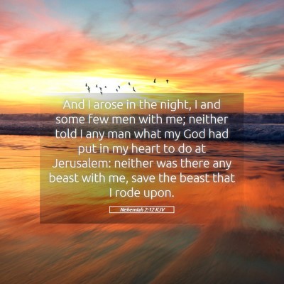 Picture 05 - Nehemiah 2:12 KJV - And I arose in the night, I and some few men with - Bible Verse Picture